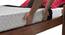 Yorktown Single Bed with Essential Foam Mattress (Teak Finish) by Urban Ladder