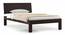 Boston Compact Bed (Mahogany Finish) by Urban Ladder