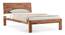 Boston Compact Bed (Teak Finish) by Urban Ladder