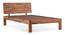 Boston Compact Bed (Teak Finish) by Urban Ladder