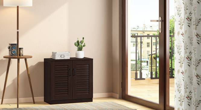 Bennis Shoe Cabinet (Dark Walnut Finish, 9 Pair Capacity) by Urban Ladder - Design 1 Full View - 265684