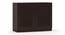 Bennis Shoe Cabinet (Dark Walnut Finish, 12 Pair Capacity) by Urban Ladder - Cross View Design 1 - 265696