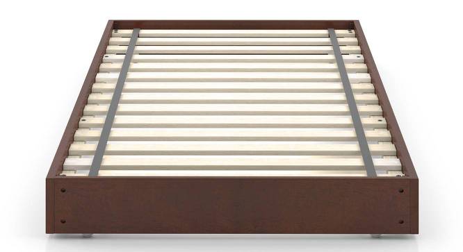 Watson Trundle Bed (Dark Walnut Finish) by Urban Ladder - Front View Design 1 - 280416