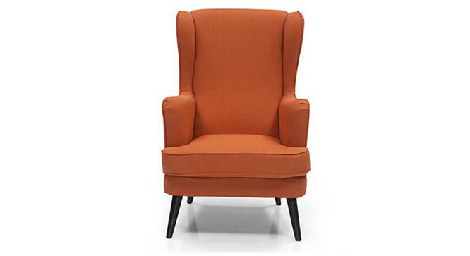 Genoa Wing Chair (Amber) by Urban Ladder - Front View Design 1 - 282938