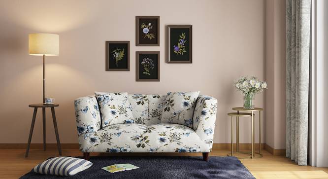 Janet Loveseat (Adrian Velvet) by Urban Ladder