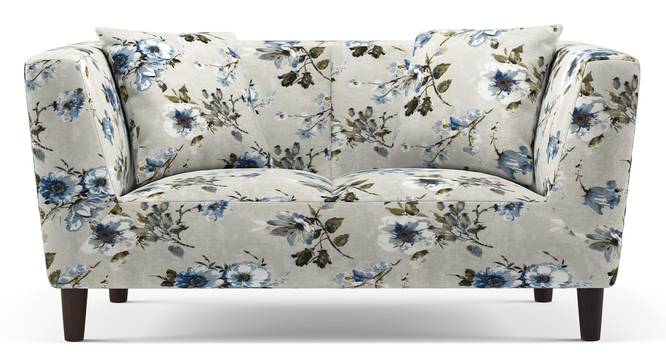 Janet Loveseat (Adrian Velvet) by Urban Ladder