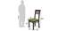 Brighton Square - Zella 4 Seater Dining Table Set (Mahogany Finish, Avocado Green) by Urban Ladder