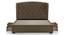 Holmebrook Upholstered Bed (Queen Bed Size, Mist Brown) by Urban Ladder
