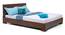 Ohio Low Bed (Teak Finish, Queen Bed Size) by Urban Ladder
