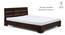 Ohio Low Bed (Mahogany Finish, Queen Bed Size) by Urban Ladder