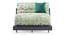 Finn Futon Sofa Cum Bed (Lagoon Green) by Urban Ladder