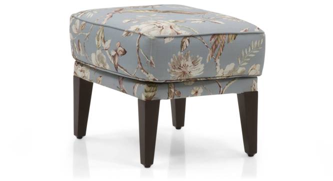 Morgen Ottoman (Blue Nightingale) by Urban Ladder - Front View Design 1 - 296744