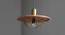 Minya Hanging Lamp (Walnut Finish, Dome Shape) by Urban Ladder - Front View Design 1 - 302331
