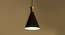 Noir Hanging Lamp (Black Finish) by Urban Ladder - Front View Design 1 - 302374