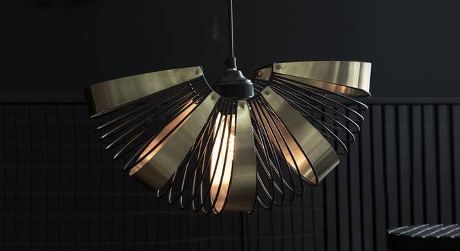 Tango In Hanging Lamp (Black Finish) by Urban Ladder - Design 1 Full View - 302419
