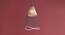 Kyoto Hanging Lamp (Black Finish, Tall Size, Conical Shape) by Urban Ladder - Design 1 Full View - 302435