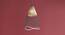 Kyoto Hanging Lamp (Black Finish, Tall Size, Conical Shape) by Urban Ladder - Design 1 Full View - 302435