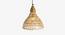 Callam  Hanging Lamp (Walnut Finish) by Urban Ladder - Front View Design 1 - 302451