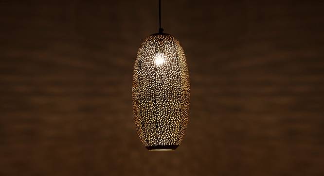 Cilin Hanging Lamp (Nickel Finish) by Urban Ladder - Design 1 Side View - 302462