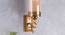 Yosmitte Wall Light (Brass) by Urban Ladder - Design 1 Semi Side View - 302943