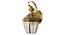 Xenia Wall Sconce (Brass) by Urban Ladder - Design 1 Side View - 302951