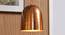 Linta Pendant (Copper) by Urban Ladder - Design 1 Half View - 303344