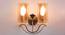 Nefer Wall Light (Brass) by Urban Ladder - Front View Design 1 - 303426