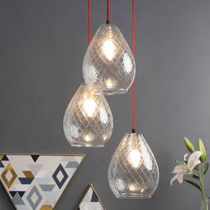 Ceiling Lights In Bangalore Design Mariana Hanging Cluster (transparent)
