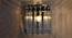 Orchid Wall Light (Chrome) by Urban Ladder - Design 1 Half View - 303480