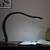 Jordan study lamp lp