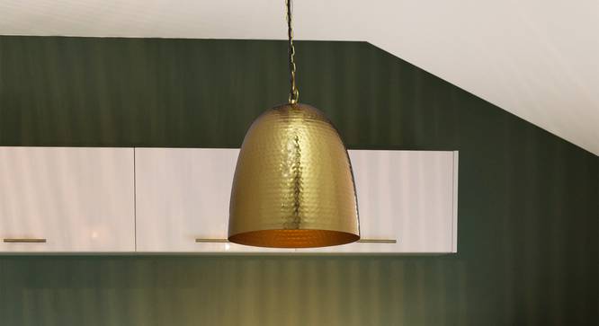 Zaden Pendant (Brass) by Urban Ladder - Half View Design 1 - 