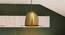 Zaden Pendant (Brass) by Urban Ladder - Half View Design 1 - 