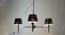 Conley Chandelier (Chrome, Metal Shade Material) by Urban Ladder - Half View Design 1 - 