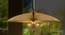 Cornel Hanging Lamp (Brass) by Urban Ladder - Design 1 Semi Side View - 