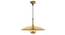 Cornel Hanging Lamp (Brass) by Urban Ladder - Design 1 Details - 