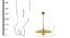 Cornel Hanging Lamp (Brass) by Urban Ladder - Dimension Design 1 - 304172