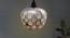 Dayton Pendant (Chrome) by Urban Ladder - Half View Design 1 - 