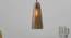 Tigris Hanging Lamp (Printed Finish) by Urban Ladder - Design 1 Half View - 304232