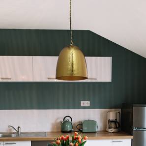 Zaden pendant lp