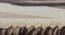 Carmela Carpet (Beige, 91 x 152 cm  (36" x 60") Carpet Size) by Urban Ladder - Design 1 Close View - 304908