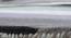 Carmela Carpet (Grey, 56 x 140 cm (22" x 55") Carpet Size) by Urban Ladder - Design 1 Close View - 304932