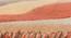 Carmela Carpet (Orange, 91 x 152 cm  (36" x 60") Carpet Size) by Urban Ladder - Design 1 Close View - 304968