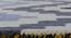 Gino Carpet (Yellow, 152 x 244 cm  (60" x 96") Carpet Size) by Urban Ladder - Design 1 Close View - 305124