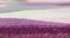 Nicolo Carpet (Purple, 91 x 152 cm  (36" x 60") Carpet Size) by Urban Ladder - Design 1 Close View - 305380