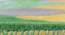 Nicolo Carpet (Green, 152 x 244 cm  (60" x 96") Carpet Size) by Urban Ladder - Design 1 Close View - 305393