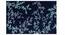 Yamin Carpet (Grey, 56 x 140 cm (22" x 55") Carpet Size) by Urban Ladder - Design 1 Details - 305576