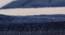 Bianka Carpet (Blue, 56 x 140 cm (22" x 55") Carpet Size) by Urban Ladder - Design 1 Close View - 305854