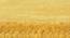 Leora Carpet (Yellow, 56 x 140 cm (22" x 55") Carpet Size) by Urban Ladder - Design 1 Close View - 306100