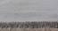 Leora Carpet (Grey, 56 x 140 cm (22" x 55") Carpet Size) by Urban Ladder - Design 1 Close View - 306212