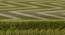 Zesta Carpet (Green, 56 x 140 cm (22" x 55") Carpet Size) by Urban Ladder - Design 1 Close View - 306460